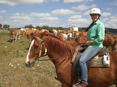 Myella Farm Stay Tours - Hervey Bay Accommodation 0