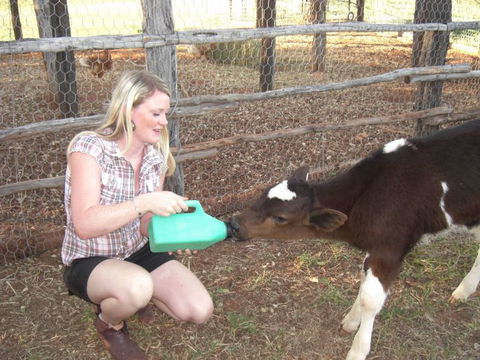 Myella Farm Stay Tours - Hervey Bay Accommodation 1