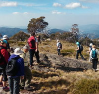 Hedonistic Hiking - Hervey Bay Accommodation