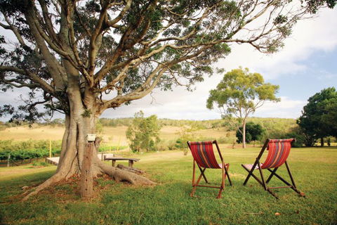 Northern Food Trail - Hervey Bay Accommodation 0