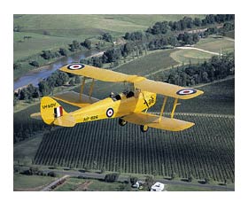 Royal Newcastle Aero Club - Hervey Bay Accommodation 0