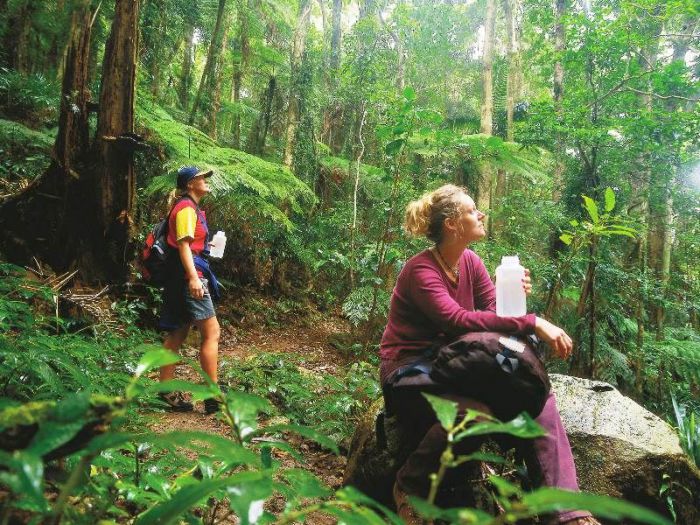  Hervey Bay Accommodation