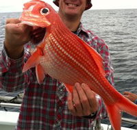 Goin' Off Safaris - Hervey Bay Accommodation