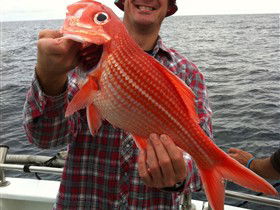 Goin' Off Safaris - Hervey Bay Accommodation 0
