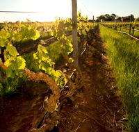 Kaesler Old Vine Vineyard Tour