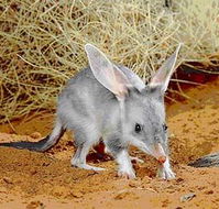 Stars Parks and Legends Drive - Hervey Bay Accommodation