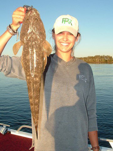 Reel Time Charters Yamba - Hervey Bay Accommodation 1