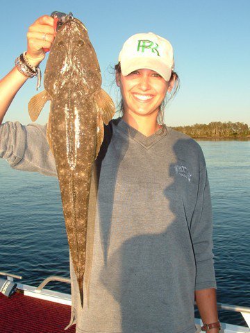 Reel Time Charters Yamba - Hervey Bay Accommodation 2