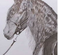 Great Lakes Art Society - Hervey Bay Accommodation