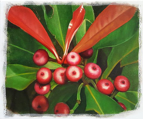Claire Souter Gallery - Hervey Bay Accommodation 2