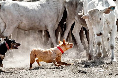 David Hancock Photography - Hervey Bay Accommodation 2