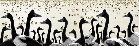 Tin Shed Art Gallery - Tourism Hervey Bay 0