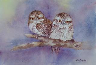 Nada’s Fine Art Gallery - Hervey Bay Accommodation 1