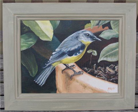 Frew Artworks - Hervey Bay Accommodation 2