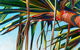 Susan Schmidt Art - thumb 0