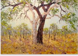 Peter Lawson Fine Art - Tourism Hervey Bay 1