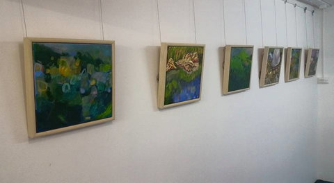 Art Arena Gallery Inc - Hervey Bay Accommodation 2