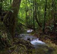 Trek North - Tourism Hervey Bay
