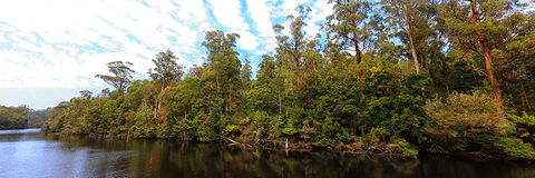 A R Reflections River Cruises - Hervey Bay Accommodation 0