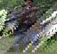 AAA Horse Riding  More