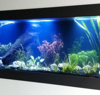 Aquariums in Cairns - Tourism Hervey Bay