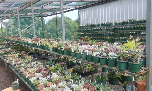 Wollongbar NSW Tourism Hervey Bay