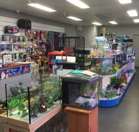 Nambour Pet Shop - Hervey Bay Accommodation