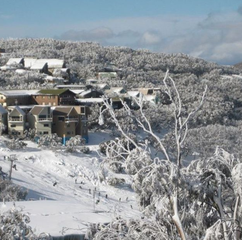 Down Under Thrills - Hervey Bay Accommodation 2