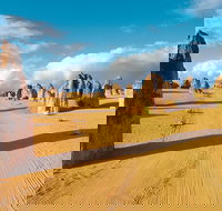 Pinnacles Desert Koalas and Sandboarding 4WD Day Tour from Perth