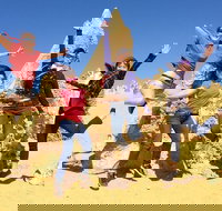 Pinnacles and Swan Valley Day Trip from Perth Including Caversham Wildlife Park Vineyard Lunch Pinnacles and Sandboarding