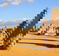 Pinnacles and Yanchep National Park Day Trip from Perth Including Lobster Shack Lunch and Sandboarding