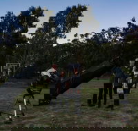 Stargazing Busselton with Mobile Observatory - Hervey Bay Accommodation