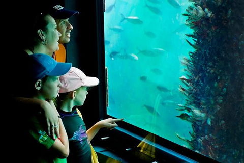 2-hour Busselton Jetty Package: Jetty Train And Underwater Observatory - Hervey Bay Accommodation 1