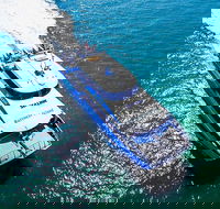 Rottnest Island Roundtrip Ferry from Perth with Transfer - Hervey Bay Accommodation