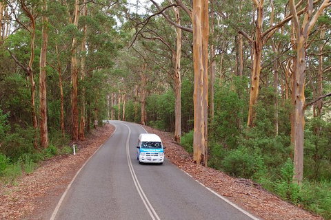 Taste Of The Great Southern - Tourism Hervey Bay 1