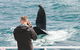 Dunsborough Whale Watching Eco Tour - thumb 9