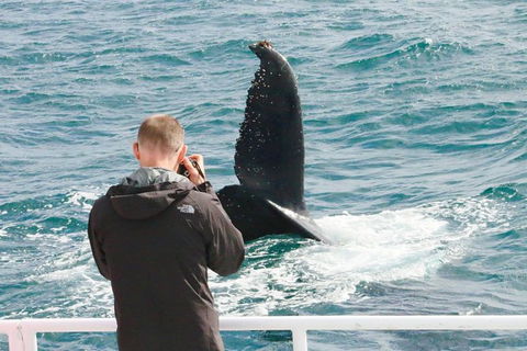 Dunsborough Whale Watching Eco Tour - Tourism Hervey Bay 9