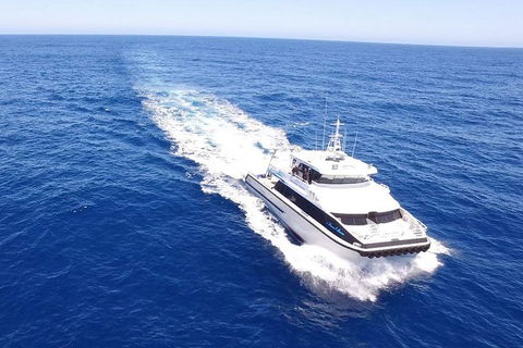 Dunsborough Whale Watching Eco Tour - Tourism Hervey Bay 8