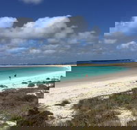 Abrolhos Island Half Day Fly and Flipper - Hervey Bay Accommodation