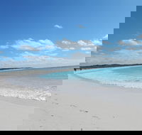 Shipwreck Special Nature Tour/Half Day Tour - Hervey Bay Accommodation