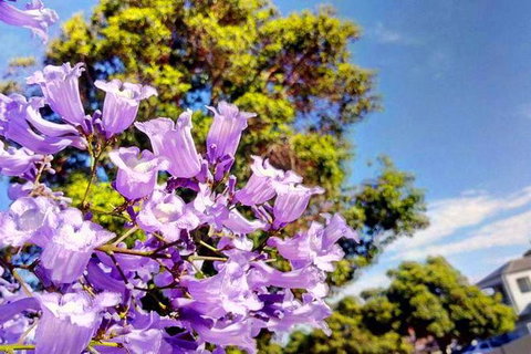 Big Perth (Private) Day Tour - Hervey Bay Accommodation 19