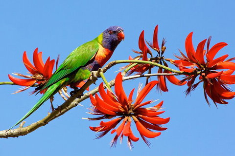 Half Day Perth & Fremantle Highlights - Hervey Bay Accommodation 7