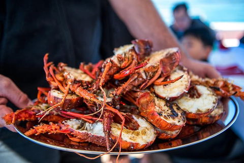 Mandurah Wild Seafood Adventure Cruise - Hervey Bay Accommodation 1