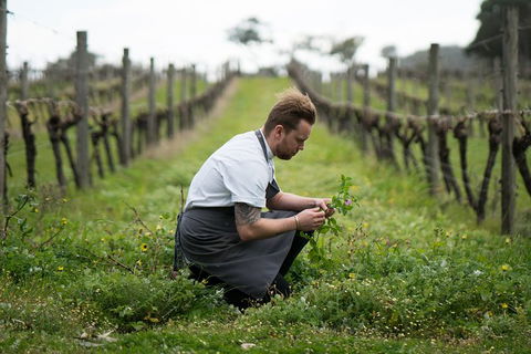 Vasse Felix Epicurean Tour And Tasting Experience With 5 Course Lunch - Hervey Bay Accommodation 9