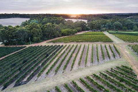 Vasse Felix Epicurean Tour And Tasting Experience With 5 Course Lunch - Hervey Bay Accommodation 7