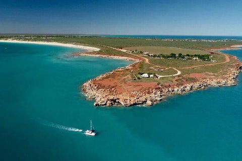 Half-Day Whale Watching Sunset Cruise From Broome - Hervey Bay Accommodation 10