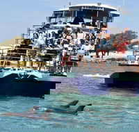 Mandurah Dolphin and Scenic Marine Cruise - Hervey Bay Accommodation