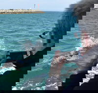 Mandurah Dolphin Island Adventure - Hervey Bay Accommodation