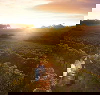 Leeuwin Estate Food and Wine Experience - Hervey Bay Accommodation