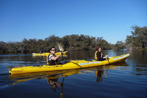Kayak Tour On The Canning River - Tourism Hervey Bay 0